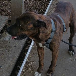 Meet your Posher, Christina